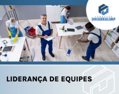 Curso: Liderança de Equipes